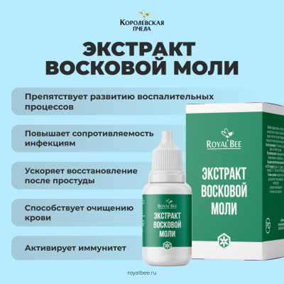 BOX "СВОБОДА ДВИЖЕНИЯ"